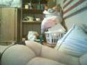 Snapshot_20151222.jpg