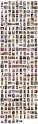 My Chubby Folder (2).jpg