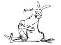 Rabbit.jpg