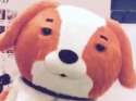 dog.png