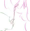 pinis.png