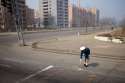 Traffic-Girl-9-Ferris.jpg