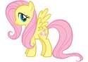 Fluttershy-my-little-pony-friendship-is-magic-20524085-570-402.jpg