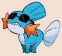 mudkipass.png