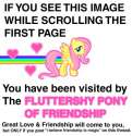 fluttershy of friendship 1.jpg