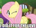 107321__safe_fluttershy_rarity_image+macro_screencap_caption_wink_stare+master.jpg