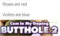 03FSycc.jpg