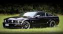 Mein Mustang 004.jpg