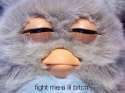 fightme.jpg