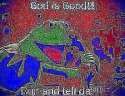 13700121_1329908047037382_7337448734252900873_n.jpg