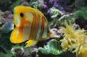 1406981284858.jpg