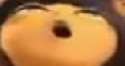 bee2.jpg