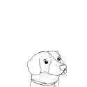 pupper.png