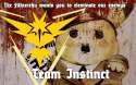 teaminstinct.jpg