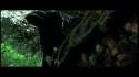 Hobbits-hide-from-a-black-rider.jpg