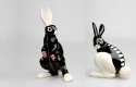 rabbit-niba-2.jpg