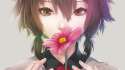 qtflower.jpg