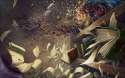 IncreasingConfusion_DKA_2560x1600_Wallpaper.jpg