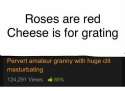 roses1.jpg