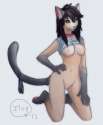 1389919157.murcat_1384741844.iluq_melisr.png
