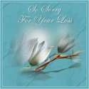 so sorry for your loss.jpg