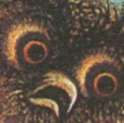 1467066442685s.jpg