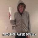 ARollOfPaperTowelsGif.gif