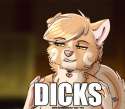 dicks.jpg