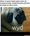 008617b7-0877-4db6-865f-b51f919a4699.png