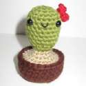 cactus.jpg