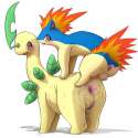 Bayleef18.jpg