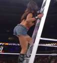 AJ Lee (150).gif