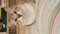 20160127_003845.jpg