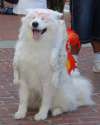 ammy!.jpg