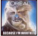 chewie.jpg