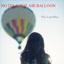 hot air balloon.jpg