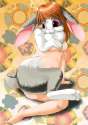 RabbitTF200909_pose1.jpg