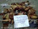 Dr_ Coss-20110118-00011.jpg