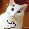 1469647006052.jpg