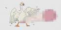 goose.png