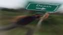 right this way sir_000000.jpg