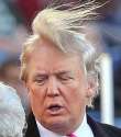 trum8296.jpg