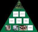 Illuminati exposed.jpg