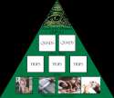 Illuminati exposed.jpg