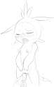 Chespin13.png