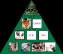 Illuminati exposed.jpg