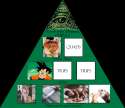 Illuminati exposed.jpg