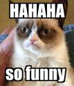 hahaha-so-funny.png