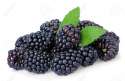 Godberries.jpg
