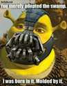 shrekbane.jpg
